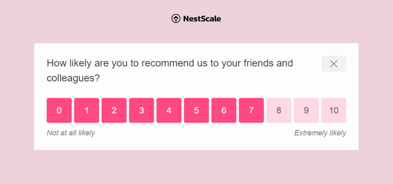 Net Promoter Score Survey