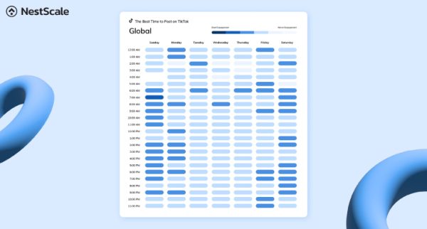 Best Times to Post on TikTok 2024 (Broken Down By Day) for Brands