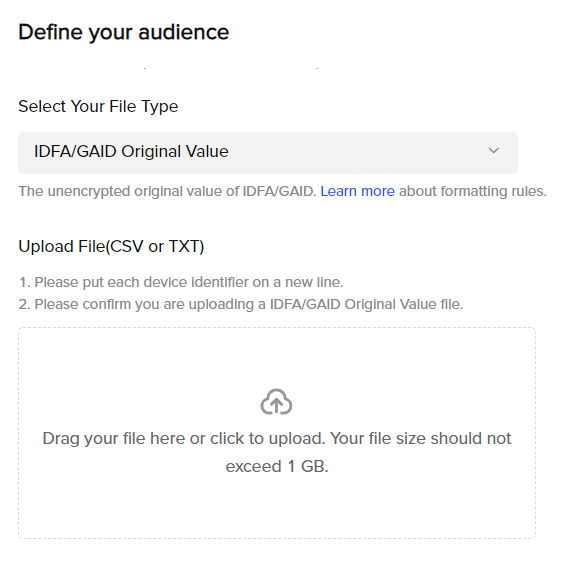 Customer File Custom Audience