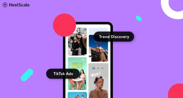 How to Download Video from TikTok Creative Center in 1 Minute