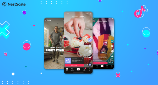 10 Best TikTok In-Feed Ads Examples from eCommerce Brands (2024)