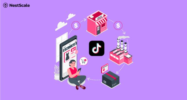 TikTok Ads For Dropshipping: Comprehensive How-to Guide (2024)