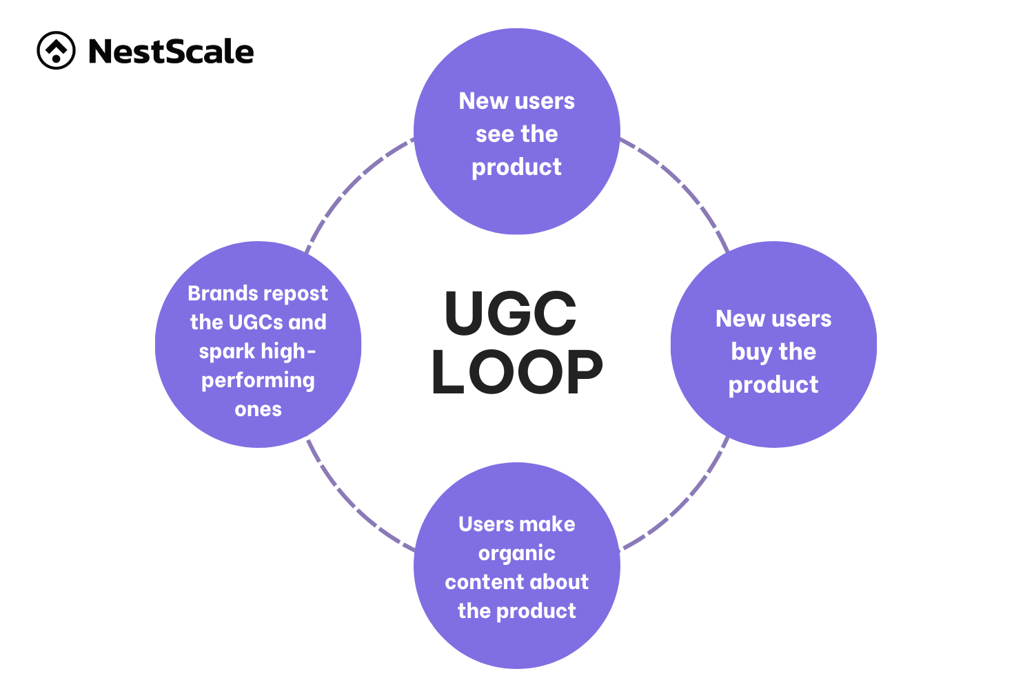 TikTok UGC Loop