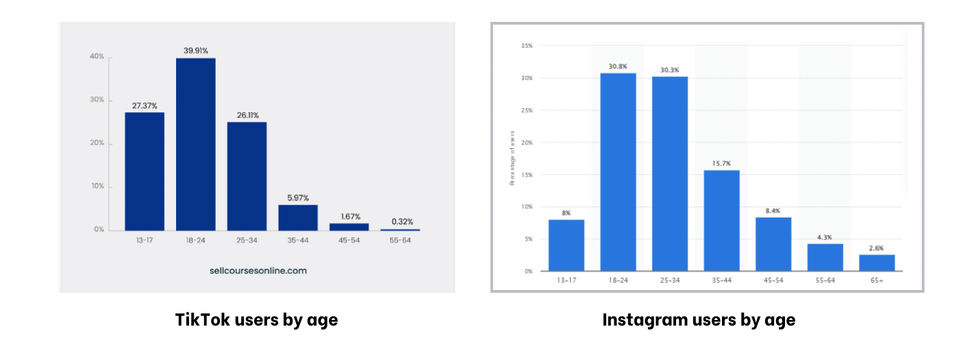 Instagram Reels vs TikTok users