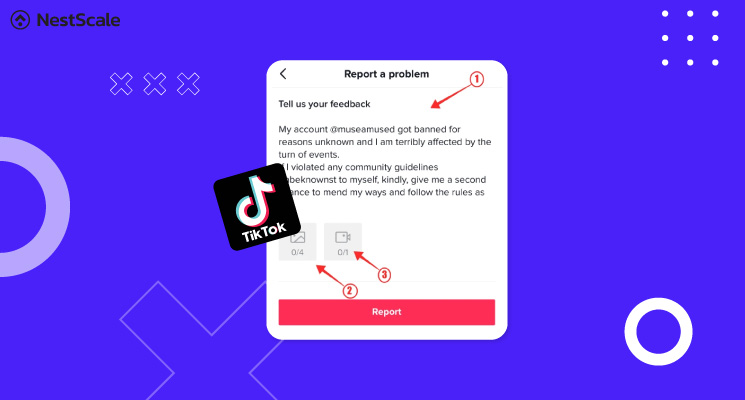 How to get your TikTok account unbanned