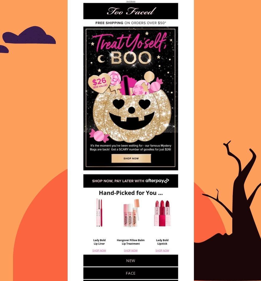 Too faced email example 