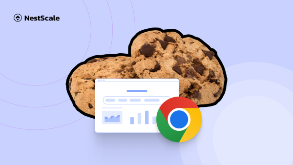 Google Phase Out Third Party Cookies (Updated 2024 Guide)