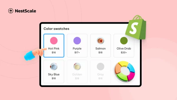 How to Add Shopify Color Swatch Names? (No-coding Tutorial)