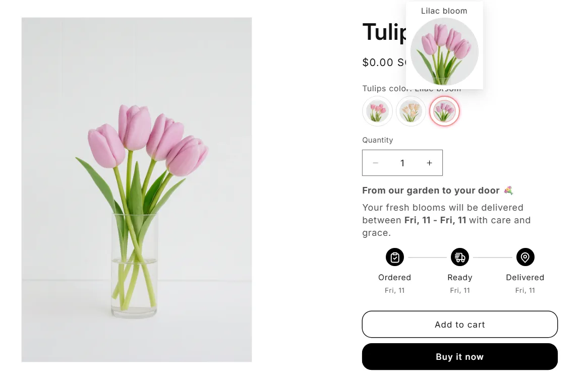 Add and Customize Color Swatches on Shopify Without Code