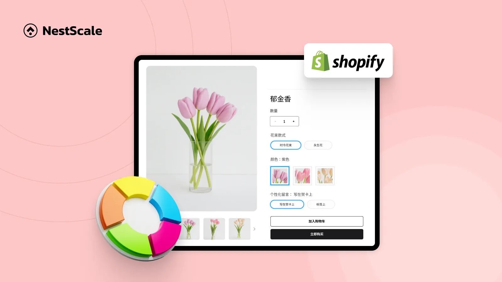 How to Set up Multi-language Color Swatches in Shopify?