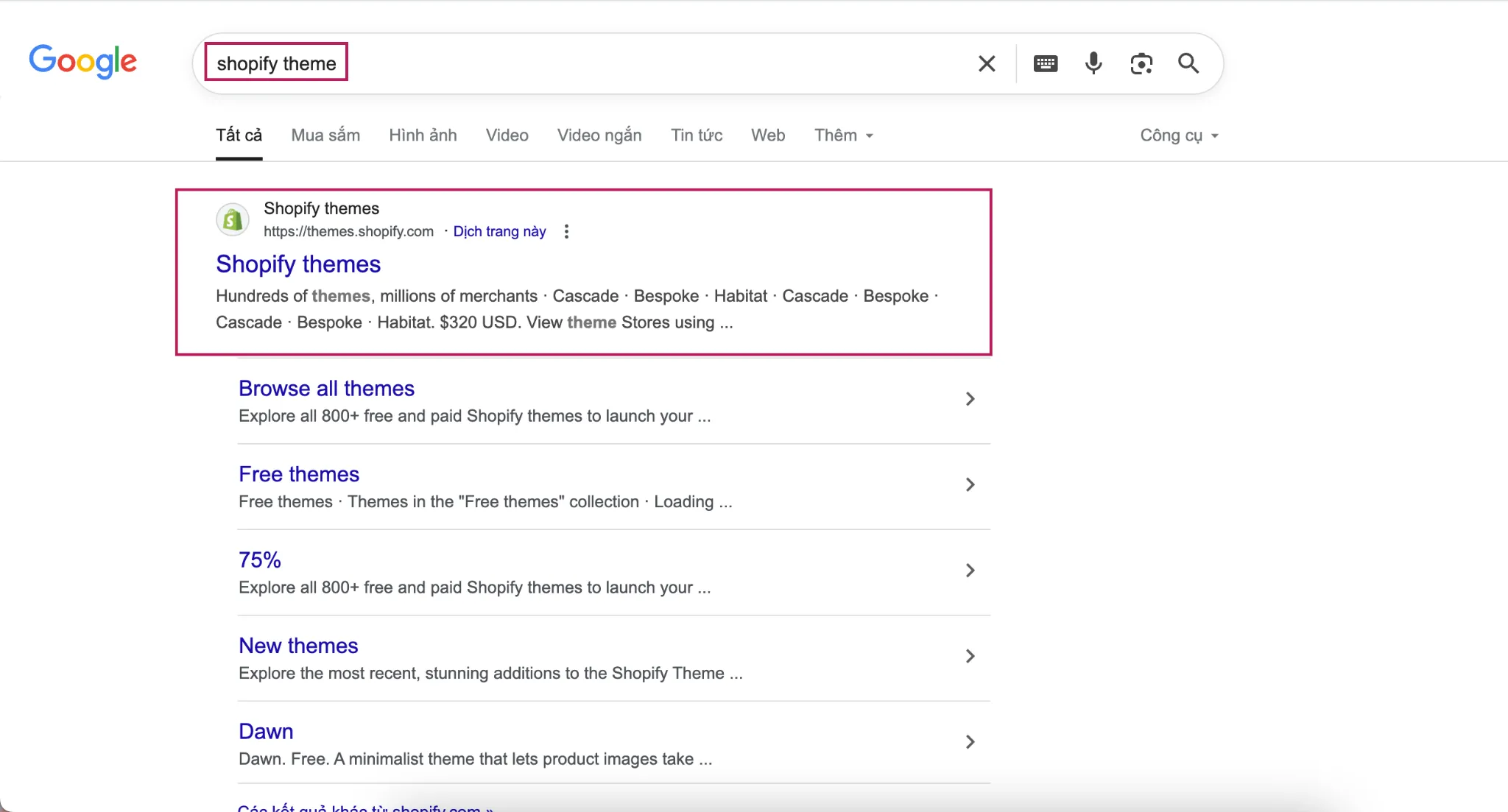 Go to Google and search for “Shopify theme”