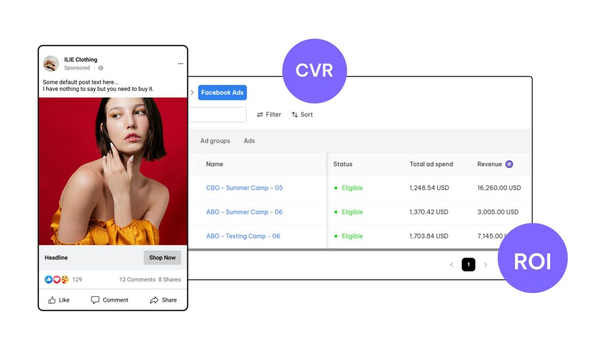 track facebook ads ROI