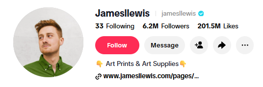 jamesllewis tiktok bio