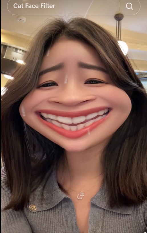 tiktok cat face filter